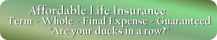 Affordable Life Insurance